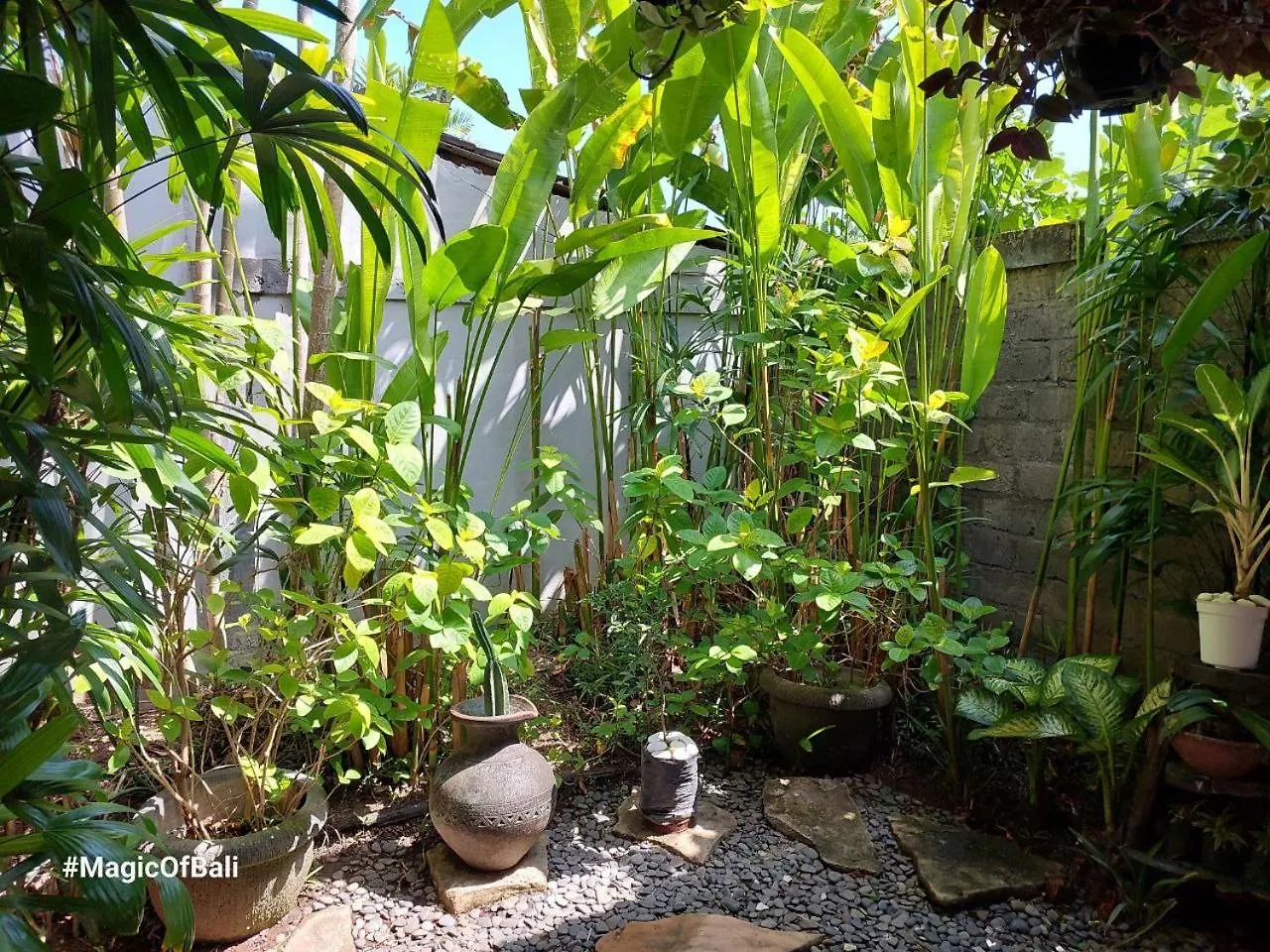 Medori Villa Seminyak 0*, Seminyak (Bali)