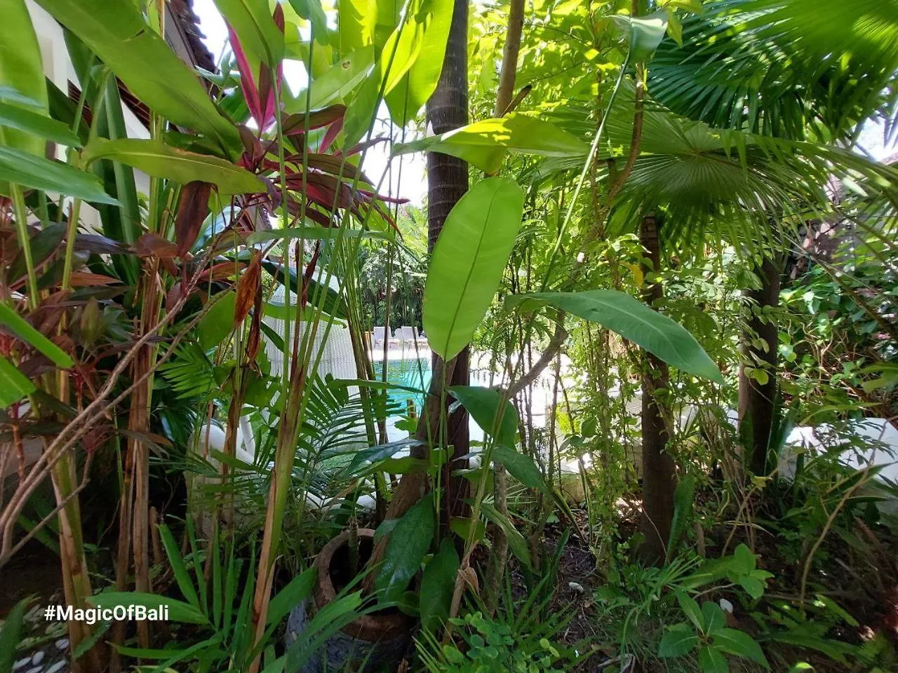 Medori Villa Seminyak